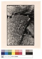 藏品(城牆)的圖片