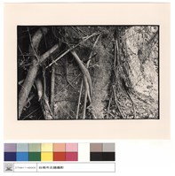 藏品(城牆)的圖片