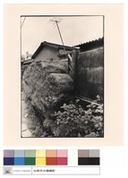 藏品(城牆)的圖片