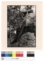 藏品(城門右側)的圖片