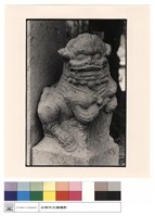 藏品(石獅)的圖片