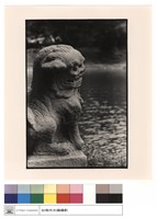 藏品(石獅)的圖片