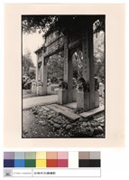 藏品(全景)的圖片