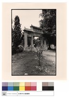 藏品(全景)的圖片