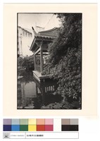 藏品(右側觀)的圖片