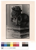 藏品(石獅)的圖片