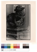 藏品(石獅)的圖片