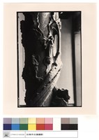 藏品(石柱石刻)的圖片