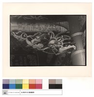 藏品(雀提(龍)(右))的圖片