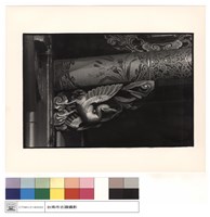 藏品(雀提)的圖片