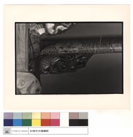 藏品(雀提(魚)左)的圖片