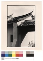 藏品(二進燕尾)的圖片