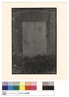 藏品(正面)的圖片