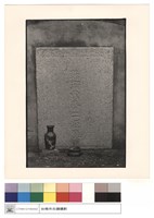 藏品(正面)的圖片