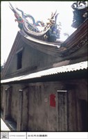 藏品(背觀)的圖片