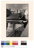 藏品(外觀)的圖片