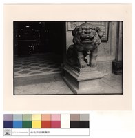 藏品(石獅)的圖片