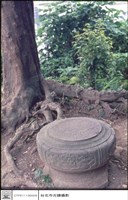藏品(石珠)的圖片