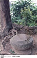 藏品(石珠)的圖片