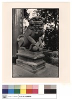 藏品(石獅)的圖片