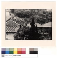 藏品(外觀)的圖片