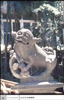 藏品(石獅)的圖片