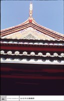 藏品(燕尾)的圖片