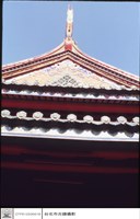 藏品(燕尾)的圖片