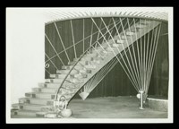 藏品(照片)的圖片