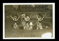 藏品(照片)的圖片