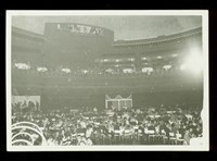 藏品(照片)的圖片