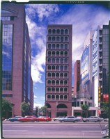 藏品(正片)的圖片