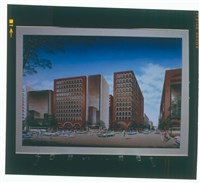 藏品(正片)的圖片