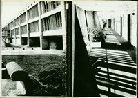 藏品(雜誌影本)的圖片