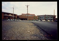 藏品((照片9))的圖片