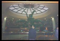 藏品((照片34))的圖片