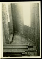 藏品((黑白照片))的圖片