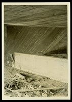 藏品((黑白照片))的圖片