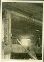 藏品((黑白照片))的圖片