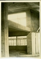 藏品((黑白照片))的圖片