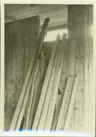 藏品((黑白照片))的圖片