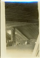 藏品((黑白照片))的圖片