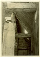 藏品((黑白照片))的圖片