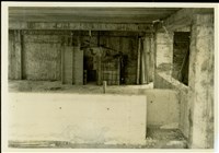 藏品((黑白照片))的圖片