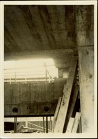 藏品((黑白照片))的圖片