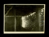 藏品((紙袋內照片9))的圖片