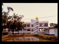 藏品((照片))的圖片