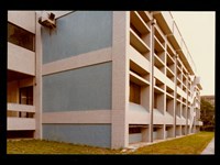 藏品((照片))的圖片