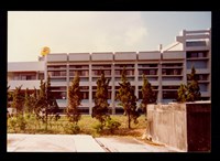 藏品((照片-正面))的圖片