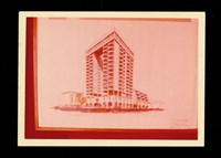 藏品((彩色照片))的圖片